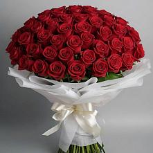Букет 101 Красная роза Блэк Мэджик в Матвеевом Кургане