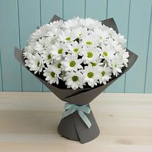 Букет цветов из:  Хризантемы #REPLACE_PRED# Матвеевом Кургане