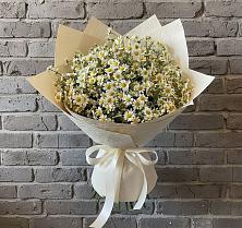 Букет цветов из:  Ромашки #REPLACE_PRED# Матвеевом Кургане