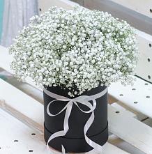 Цветочная композиция из Гипсофила в шляпной коробке #REPLACE_PRED# Матвеевом Кургане
