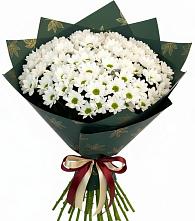 Букет цветов из:  Хризантемы #REPLACE_PRED# Матвеевом Кургане