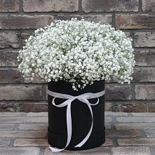 Цветочная композиция из Гипсофила в шляпной коробке в Матвеевом Кургане