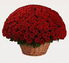 Премиум букет из: Розы #REPLACE_PRED# Матвеевом Кургане