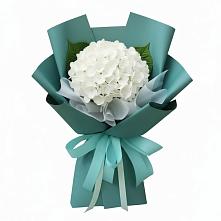 Букет цветов из:  Гортензия #REPLACE_PRED# Матвеевом Кургане